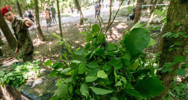 Resignation statt Resilienz