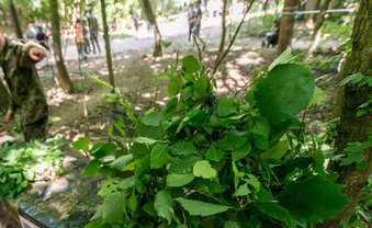 Resignation statt Resilienz