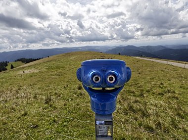 Den grünen Wahlsieg fest im Blick.