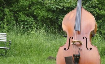 Der Bass erstaunt im Garten, auch ohne Bassist. Der Bass erstaunt im Garten, auch ohne Bassist.