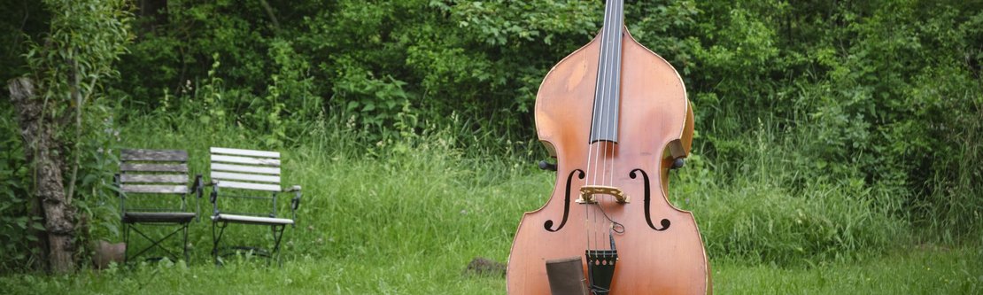 Der Bass erstaunt im Garten, auch ohne Bassist.