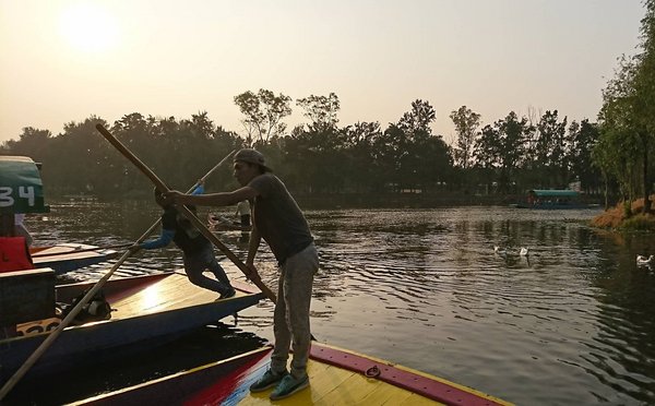 Mit reiner Muskelkraft stemmt der Nachwuchs die bunten Boote durch die aztekischen Kanäle im Bezirk Xochimilco.