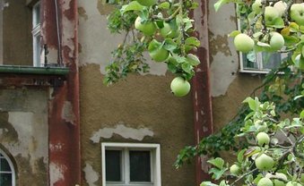 Paradies am Abgrund