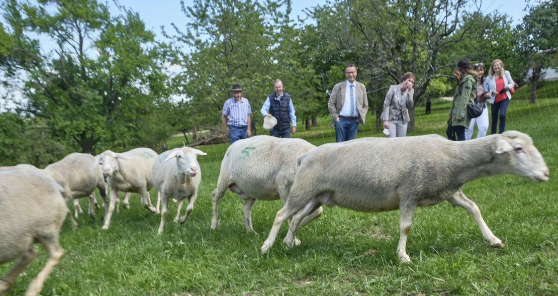 Mit Peter auf dem Bauernhof