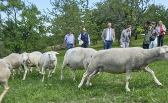 Mit Peter auf dem Bauernhof