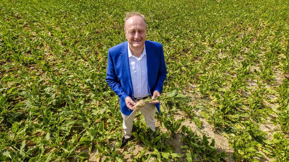 Joachim Rukwied, Kopf des Deutschen Bauernverbands, bei der Rübenernte. Foto: Joachim E. Röttgers