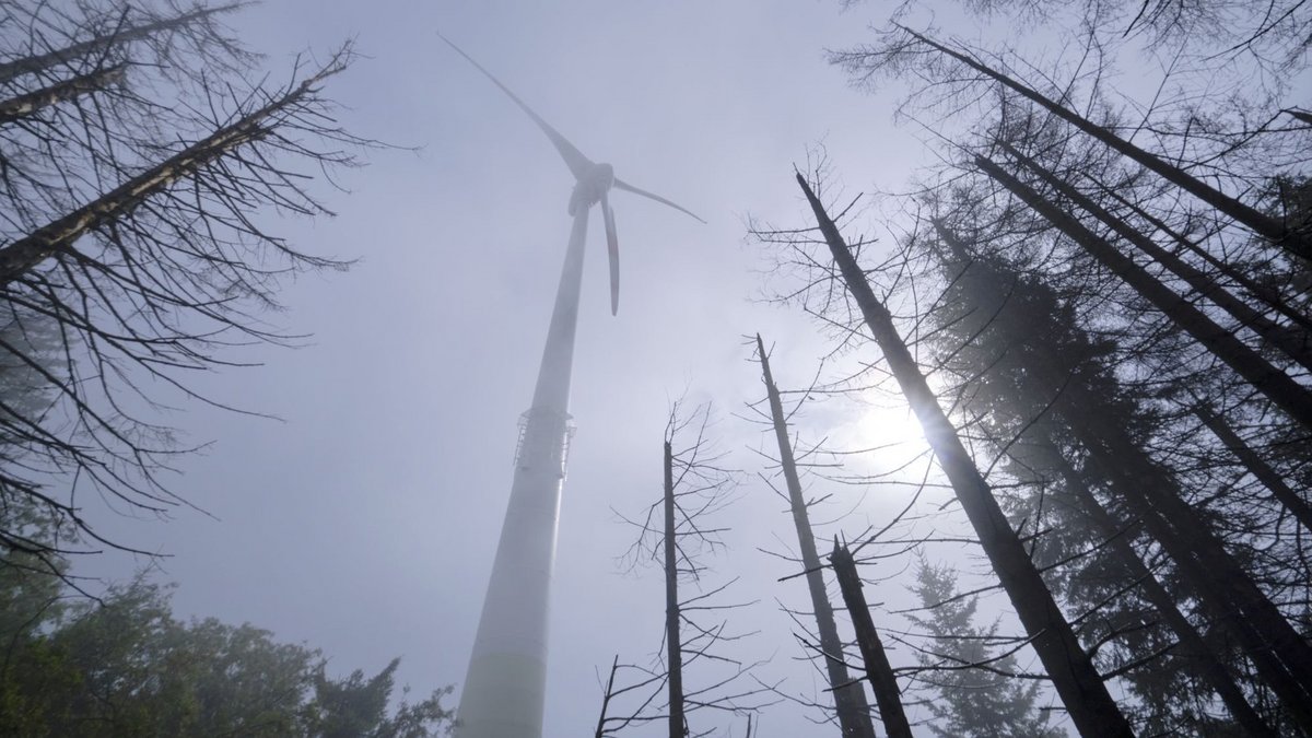 Von Rotorblättern zerschreddert? So hoch fliegt kein Huhn. 