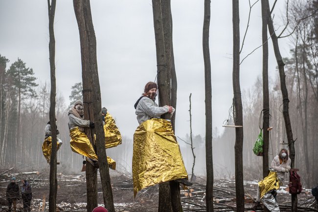 Konkrete Folge der Klimakrise: auf die Palme oder andere Bäume gehen.
