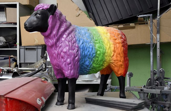 In Yardimcis Werkstatt: ein Schaf in Regenbogenfarben.