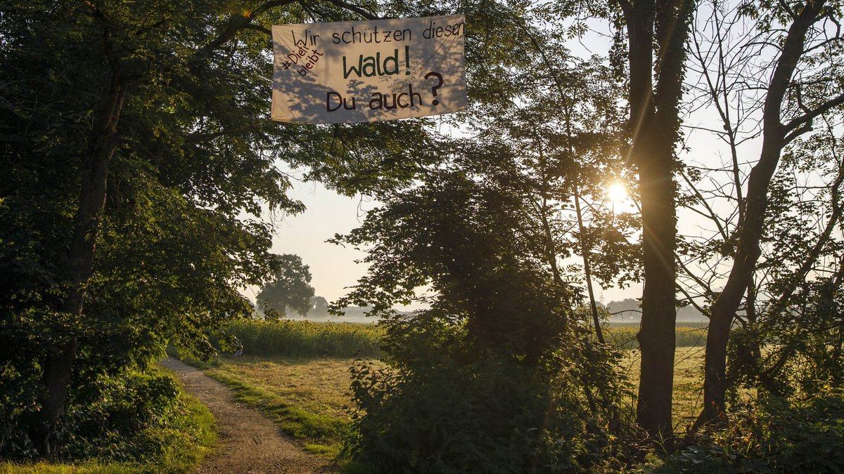 Auf Hambi, Danni und Alti folgt Dieti: BaumbesetzerInnen haben sich am geplanten Stadtteil Dietenbach in Position gebracht. Fotos: Jannis Große