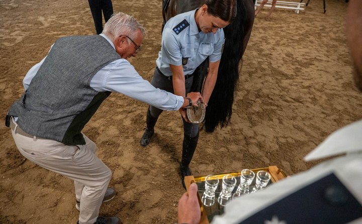 Vier Schnapsgläser kriegt das Pferd über die Hufen.