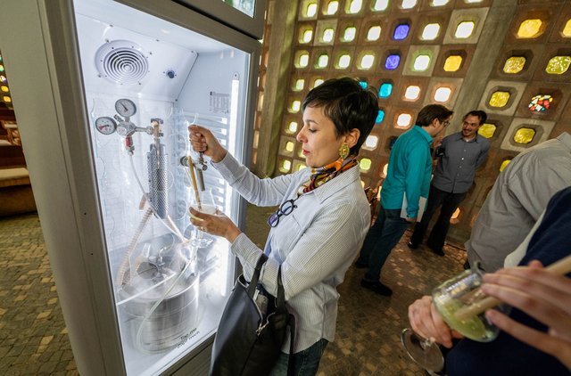 Was hat ein Getränk aus japanischem Knöterich mit Recycling zu tun?