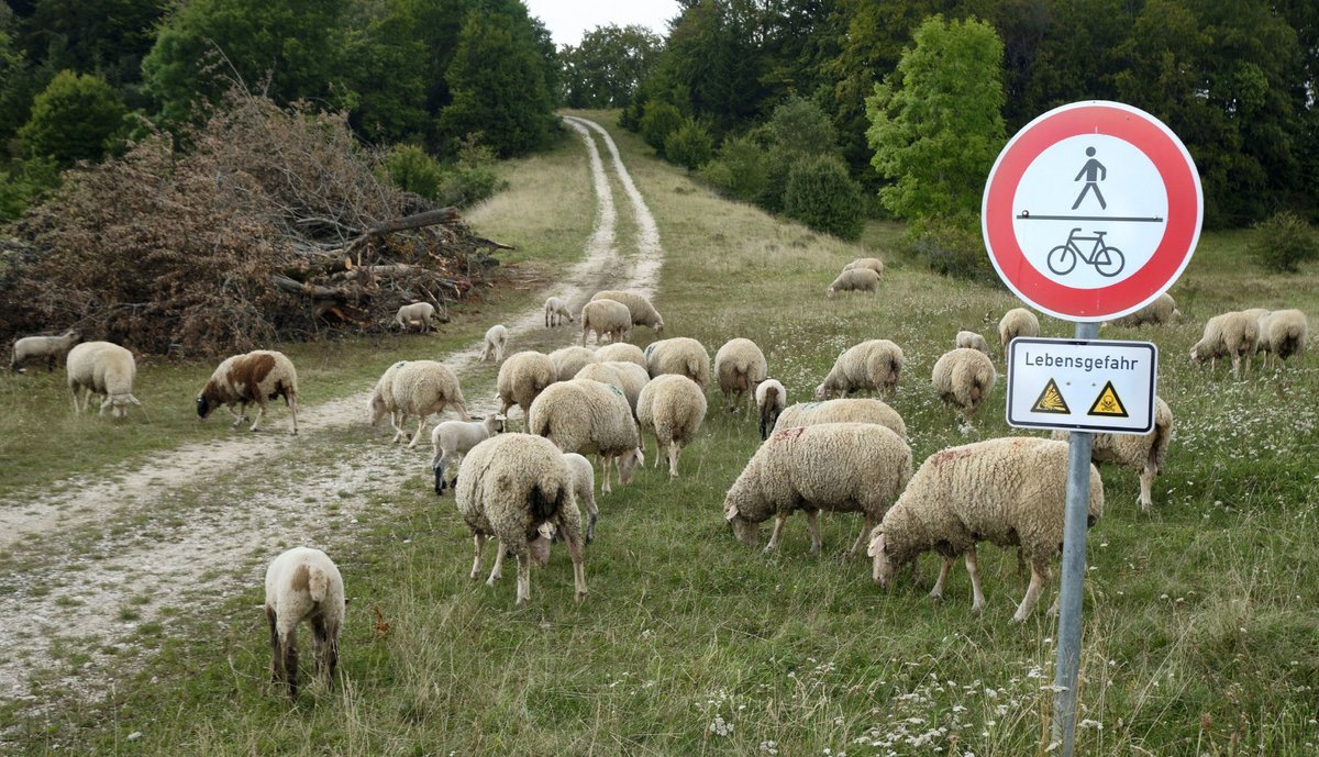 Zutritt für Zweibeiner verboten. Andere Schilder ...