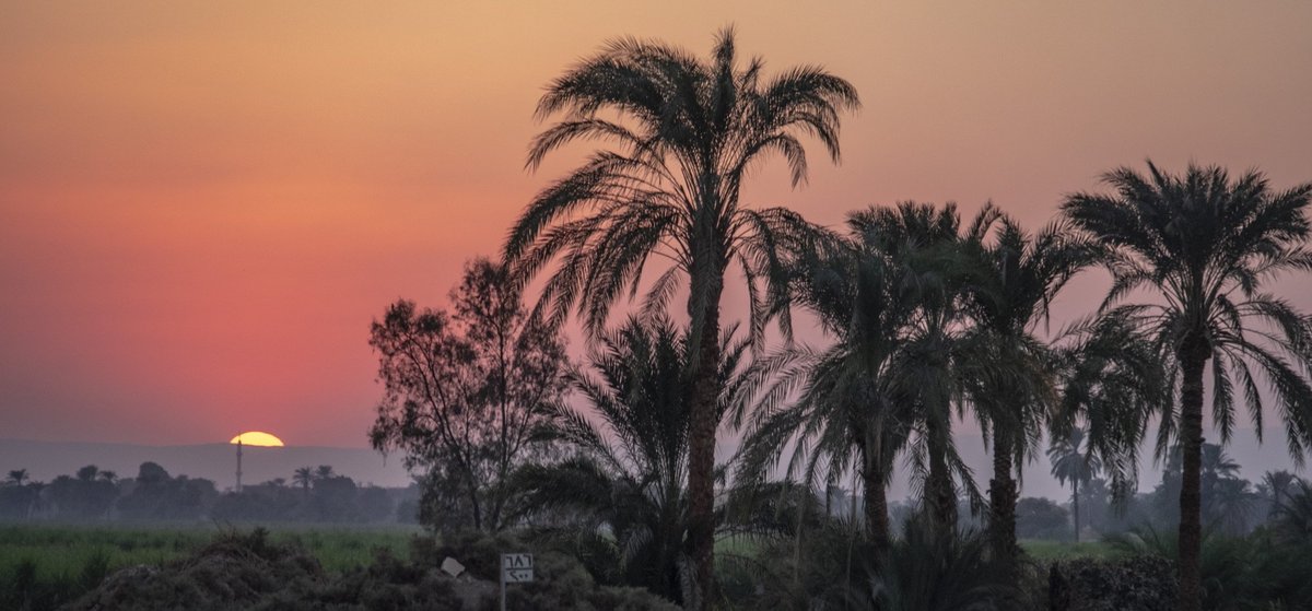Ach, wie schön wär's jetzt unter Palmen. Foto: Joachim E. Röttgers