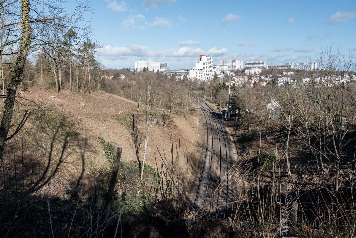 Auch dieser Hang an den Bahngleisen wurde abgeräumt.