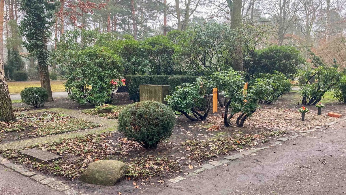 SPD-Prominenz unter sich: das Grab von Ernst Reuter (links), die Holztafeln von Helga und Edzard Reuter (rechts), dahinter Willy Brandt auf dem Waldfriedhof Zehlendorf. Foto: Kontext