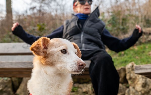 Wenn's nicht laut wird, ist Hündin Rubin dabei.