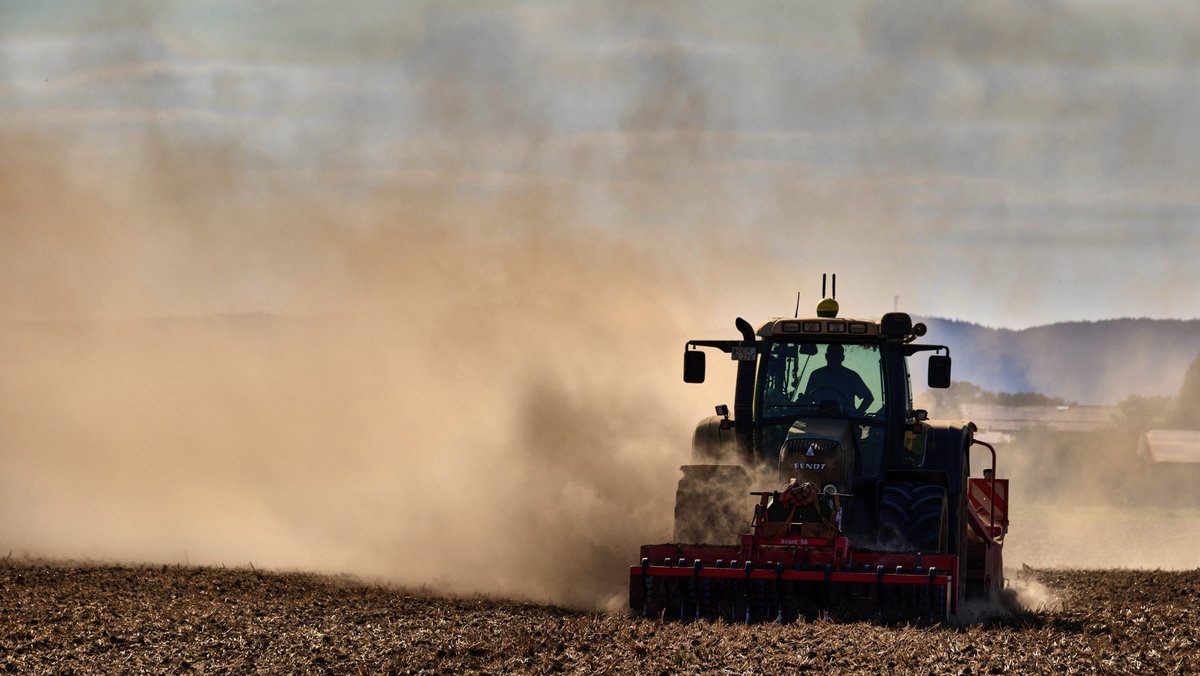 Klimawandel? Dürresommer? Für CDU, AfD, FDP kein Thema. Sie reden nur noch von Geflüchteten und Sicherheit. Fotos: Joachim E. Röttgers