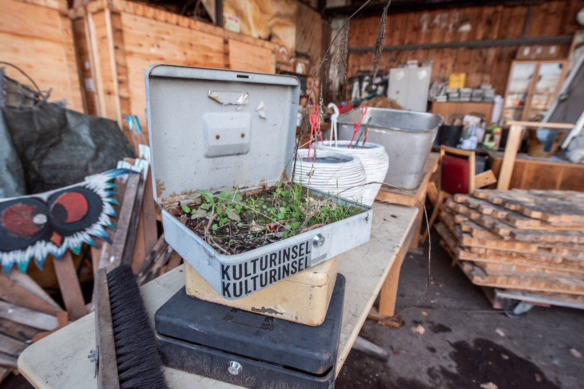 Die Kasse ist so klamm, dass schon das Kraut rauswächst. Macht nix. Fotos: Jens Volle