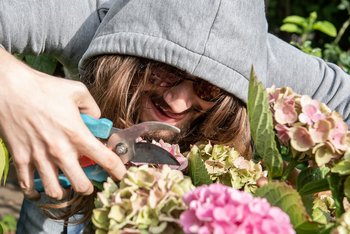 Okay, okay, das mit dem Dieb war gelogen. Es ist doch Kontext-Redakteur Minh Schredle beim todesmutigen Selbstversuch. Schritt 1: Ernte.