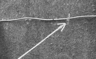 Widersprüchliches Erinnern