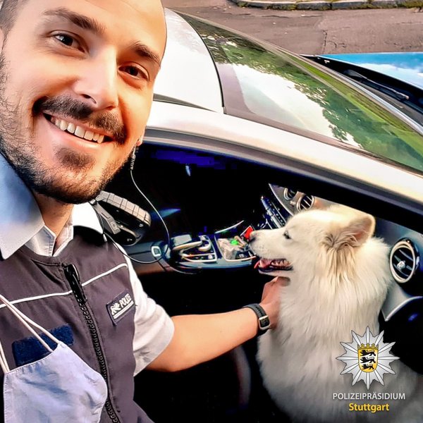 "Offensichtlich suchte Anno beim Freund und Helfer Unterstützung", schreibt die Polizei Stuttgart über den ausgebüchsten Wauwau. Auf dem Revier durfte auch er sich dann "an vielen Streicheleinheiten" erfreuen. Foto: Polizei Stuttgart