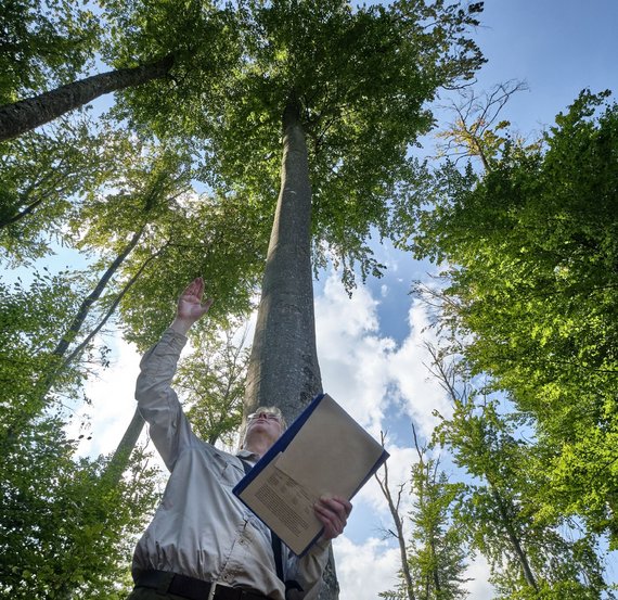 Revierförster Thomas Englisch zeigt Waldschäden im Schönbuch.