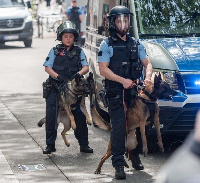 Die Präsenz der Hunde baut eine Drohkulisse auf. 