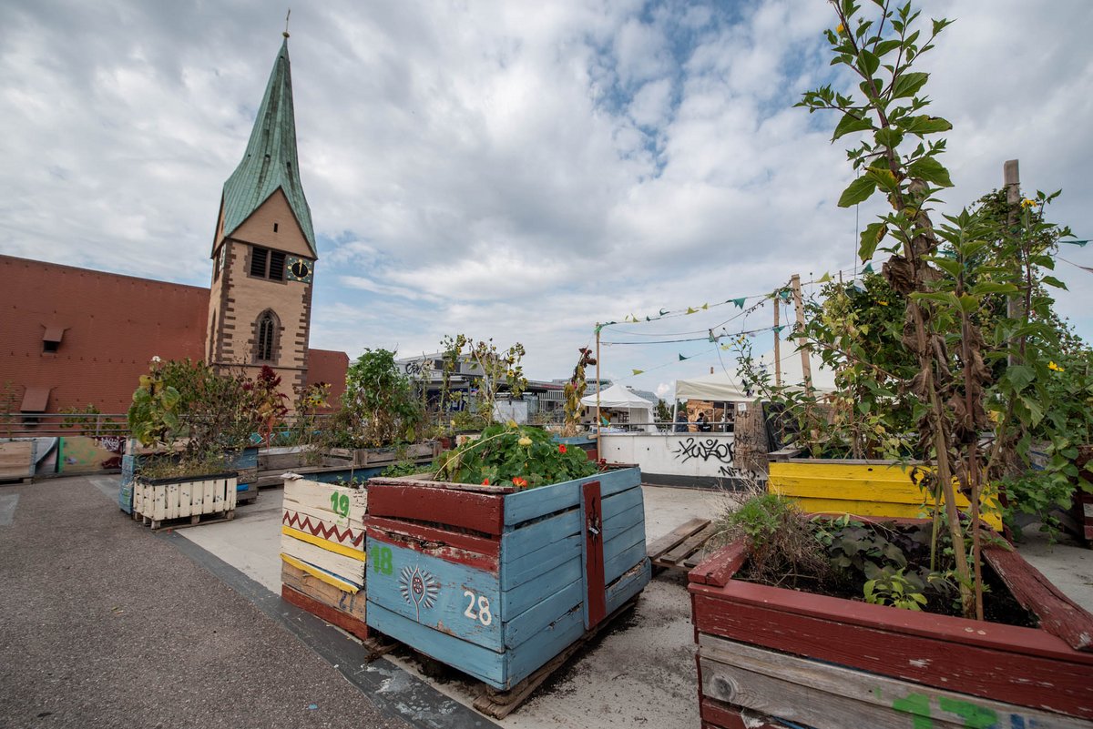Aber nicht nur in kultureller Hinsicht finden sich auf dem Dach mittlerweile blühende Landschaften. Aber nicht nur in kultureller Hinsicht finden sich auf dem Dach mittlerweile blühende Landschaften.