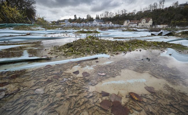 Von früheren Lederfabriken verseucht und mit Folie dicht gemacht: die Obere Walke.