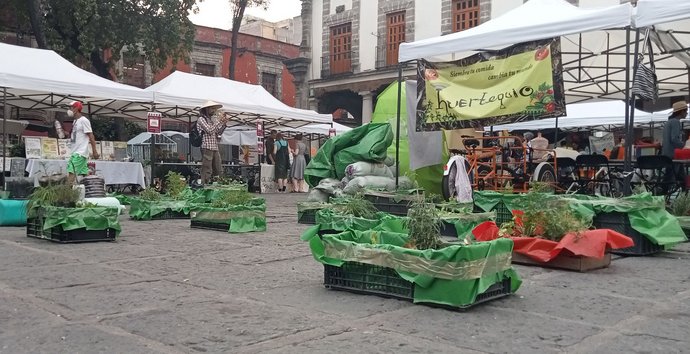 Pflanzenmarkt beim Weltsozialforum: wichtig, aber wenig beachtet. 