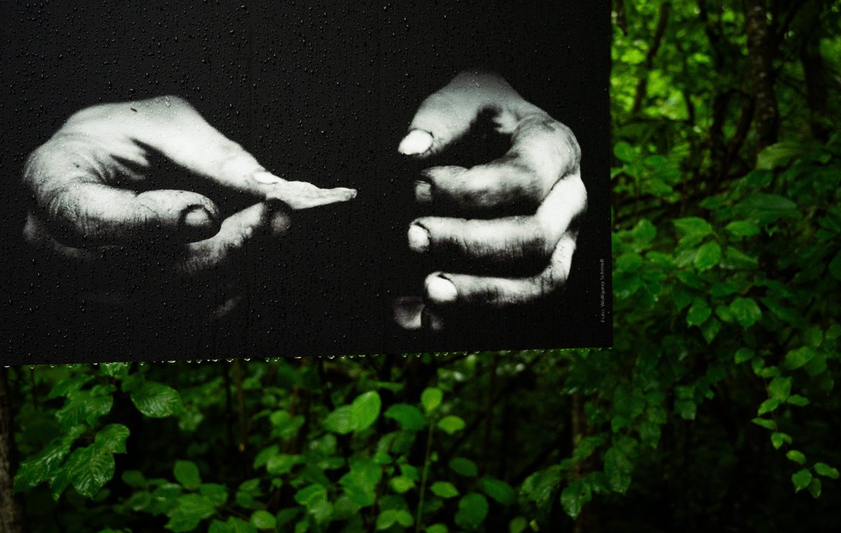 ... stammen von Wolfgang Schmidt.