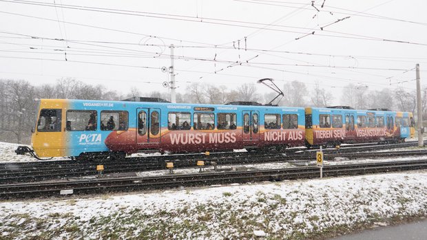 Ein PETA-Kampagnen-Grundprinzip: klotzen, nicht kleckern. Foto: PETA Deutschland