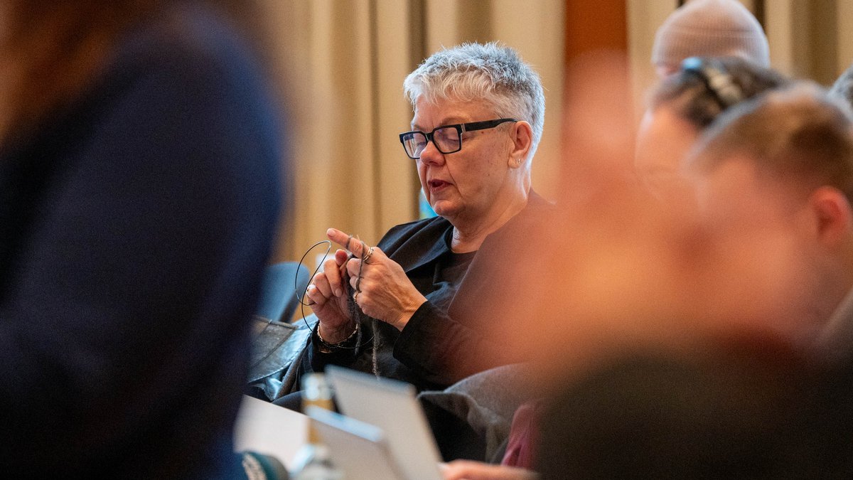 Wenn's die Grünen nicht mehr tun, strickt eben Kontext-Autorin Johanna Henkel-Waidhofer bei deren Landesparteitag im Dezember in Ludwigsburg.