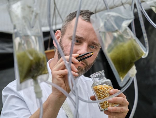 Benjamin Boresch als Phöbus sucht die Seele der Planzen.