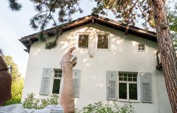 Über die Kiefer aufs Dach, so könnte das Tier gekommen sein. Foto: Jens Volle