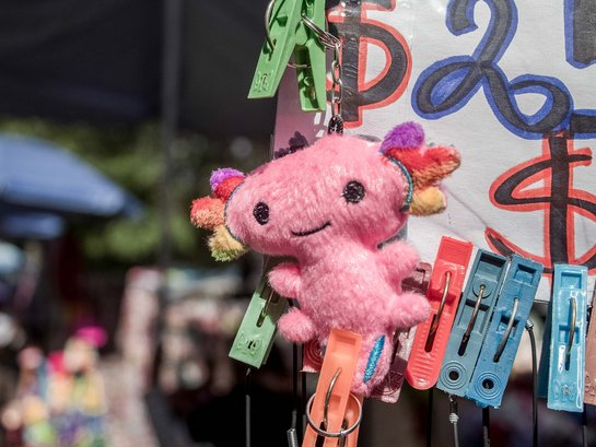 Von Pokémon bis Plüschtier: Der Lurch ist doch wunderbar wandelfähig!