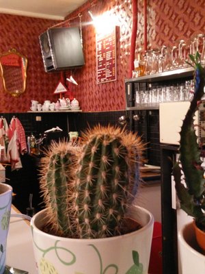 Sind Stacheln von Gemeinnützigkeit ausgeschlossen? Fotos: DemoZ