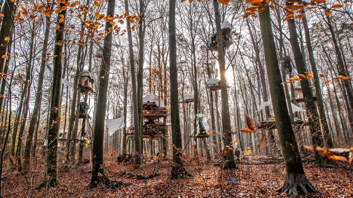 Baumhäuser im hessischen Dannenröder Forst: Umweltaktivist:innen wollten eine Autobahn verhindern. Foto: Jens Volle