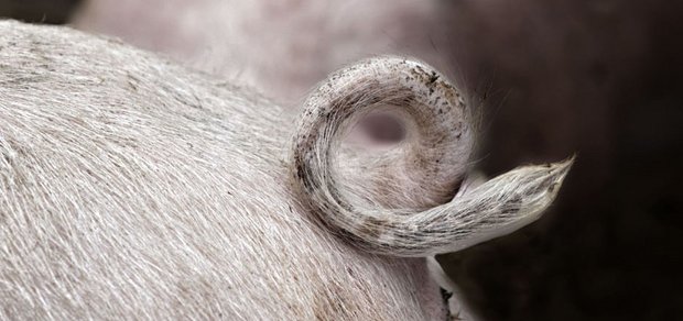 Totschießen bringt gar nichts: Besser um die Ecke denken ...