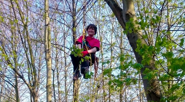 Eichhörnchen im Baum, nach der Freilassung. Foto: privat