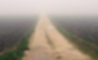 Wo ist er bloß gelaufen – der Friedrich Hölderlin?