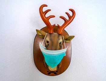 Manchmal hilft nur noch Humor: Deko-Hirsch bei den Stöhr-Strauchs.