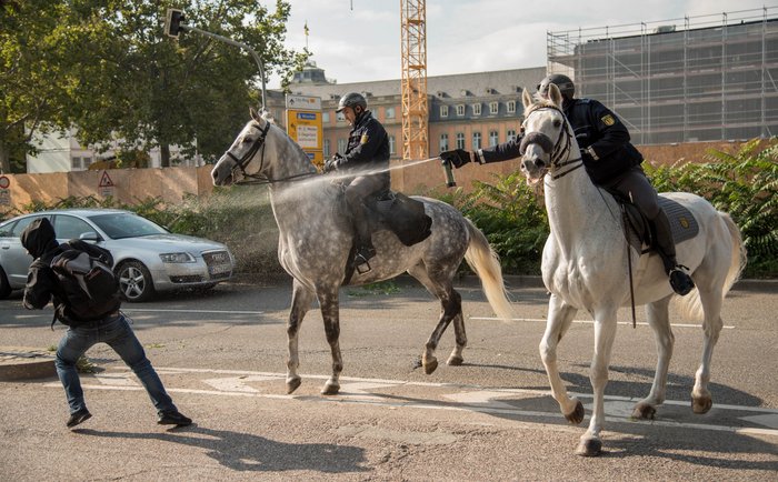Pferde verschaffen Autorität, Überblick und eine bessere Schussposition.