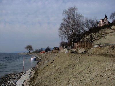 Kahlschlag am Seeufer.