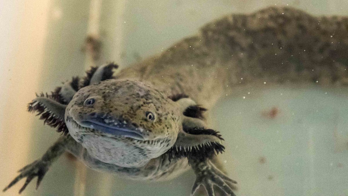 Auch sie blieb trotz Nachfrage stumm.