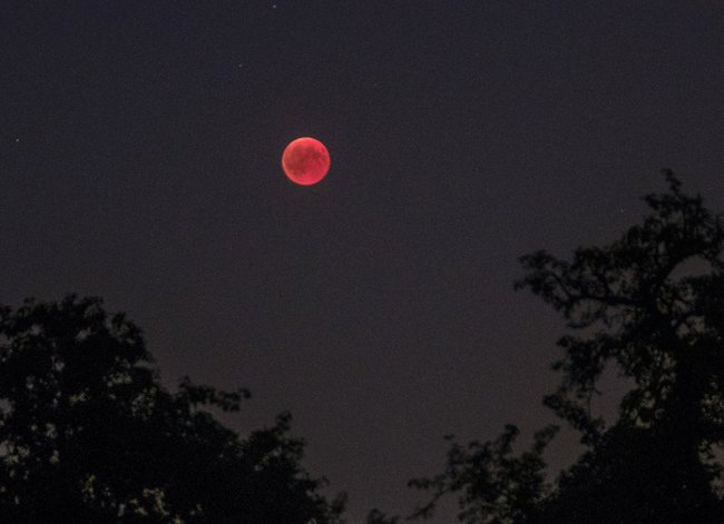 Blutmond über Stuttgart-Möhringen, Juli 2018. Foto: Joachim E. Röttgers