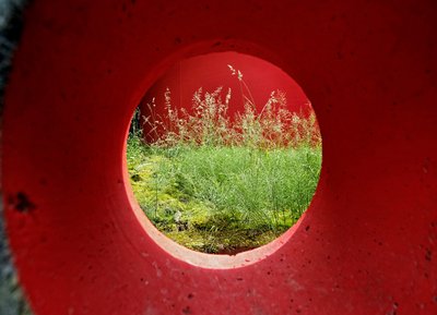 Rote Aussichten für die Grünen. Fotos: Joachim E. Röttgers