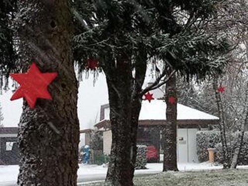 Protest-Baumschmuck in Meßstetten. Foto: privat 