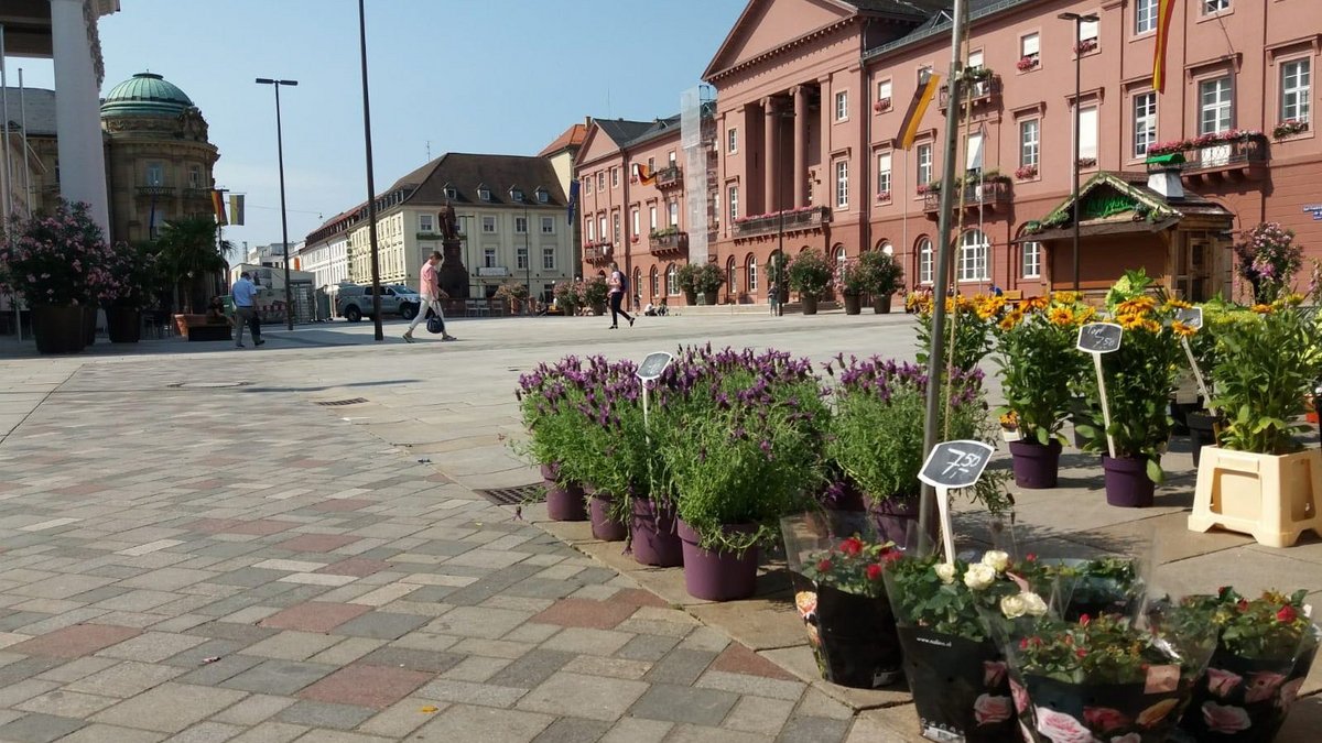 Grün ist auf dem Karlsruher Marktplatz nur der Blumenstand.